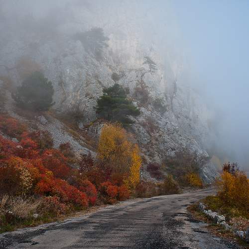 Photo #9677819