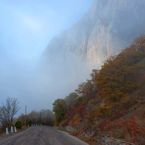 Photo #9677821