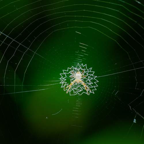 Photo #9677886