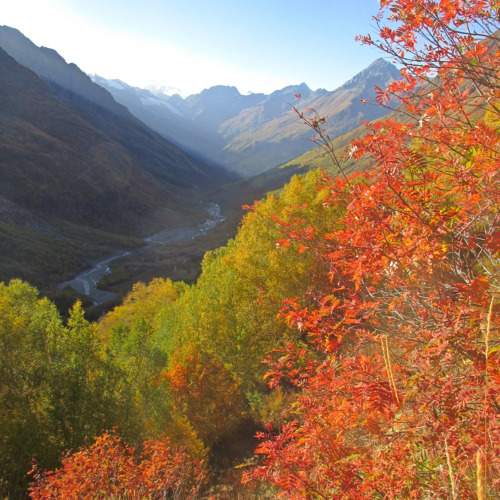 Photo #9677987