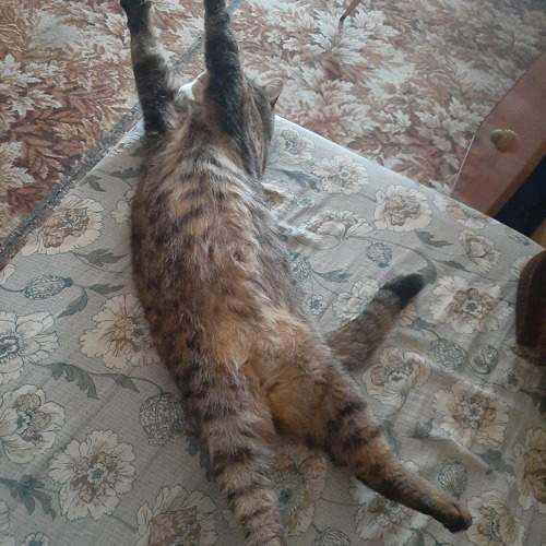 Photo #9677999
