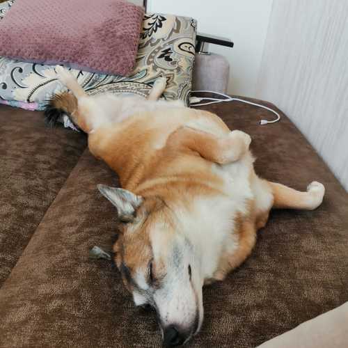 Photo #9678007