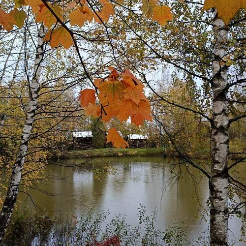 Photo #9678194