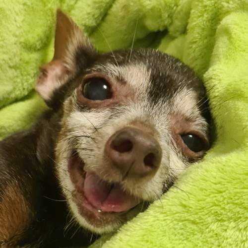 Photo #9678404