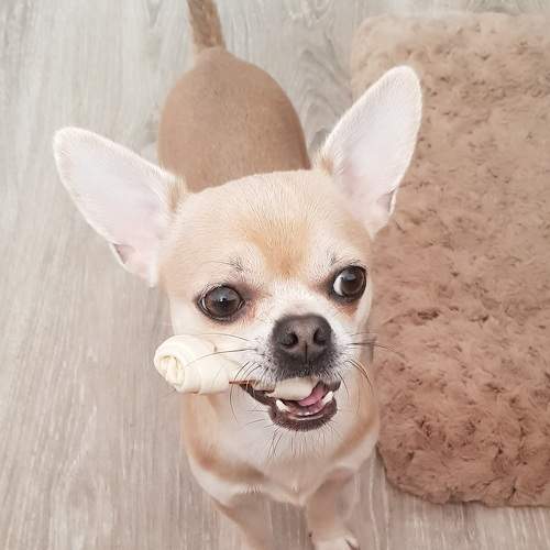 Photo #9678405