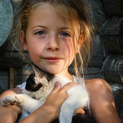 Photo #9678627