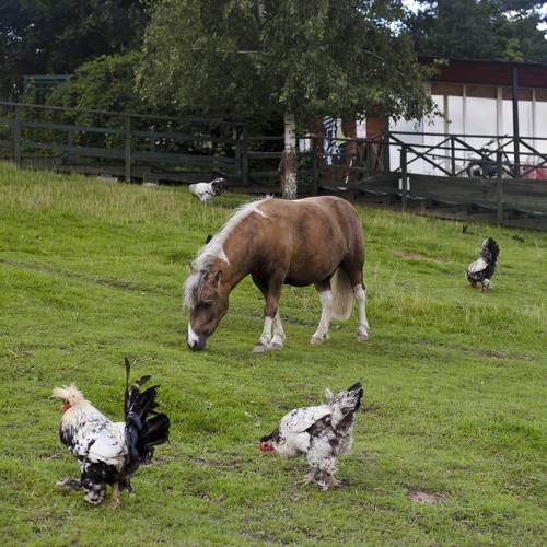 Photo #9679128