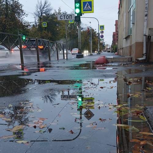 Photo #9680085