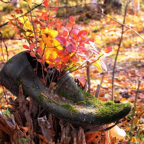 Photo #9680230