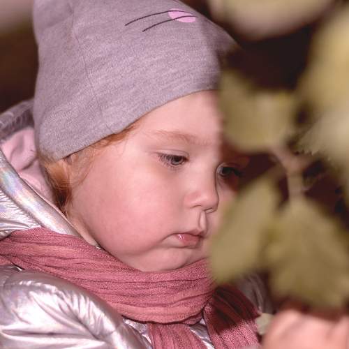 Photo #9680545