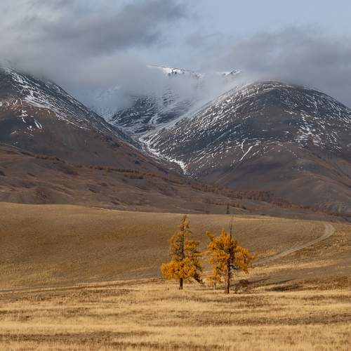 Photo #9680651