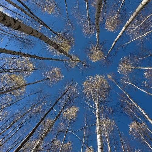 Photo #9680696