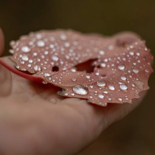 Photo #9680745