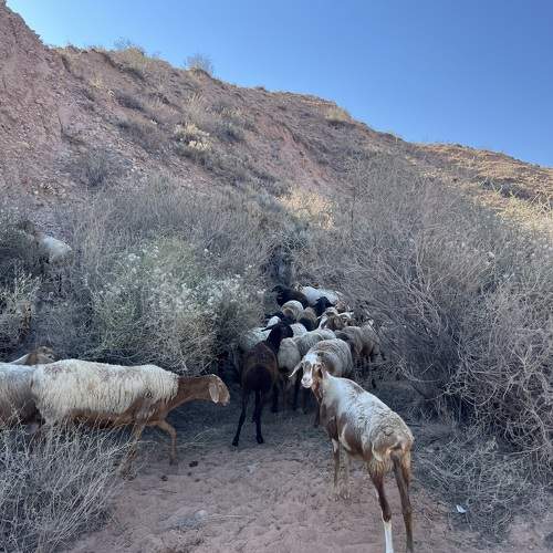 Photo #9680771