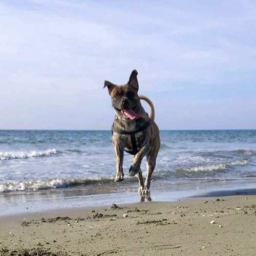 Beach time