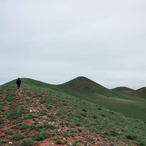 Photo #9681198