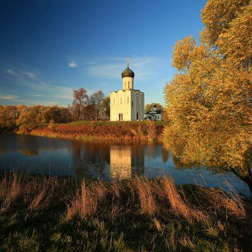 Photo #9681260