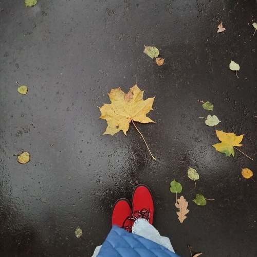 Photo #9681370