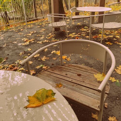 Photo #9681810
