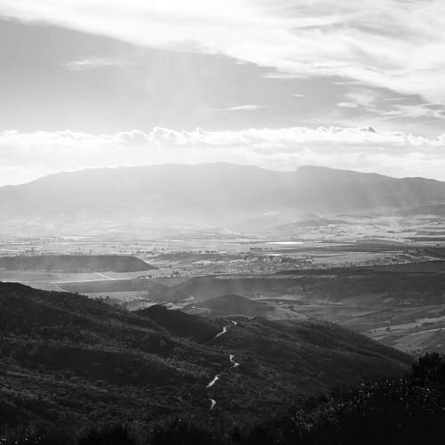 Photo #9681971