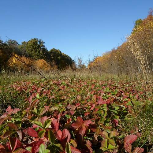 Photo #9682013