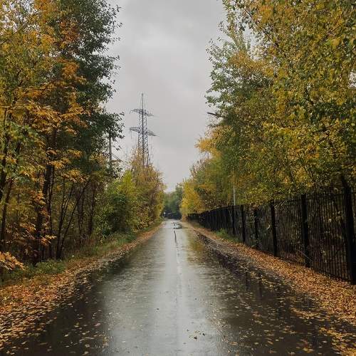 Photo #9682056