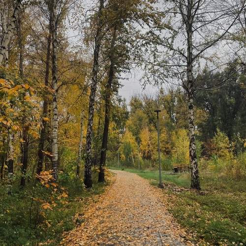 Photo #9682064