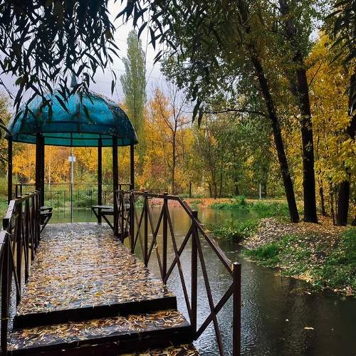 Photo #9682068