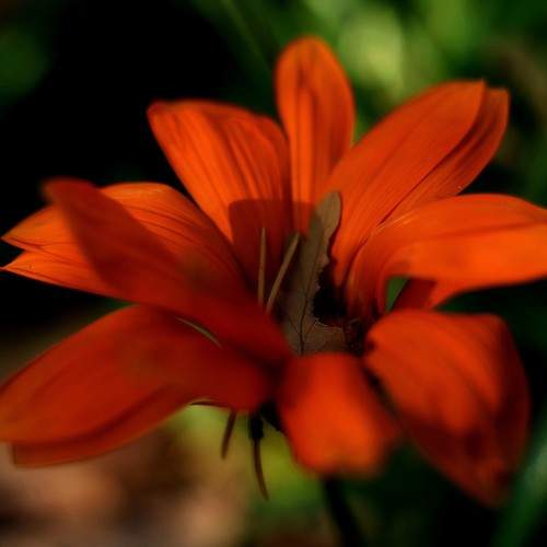 Photo #9682309