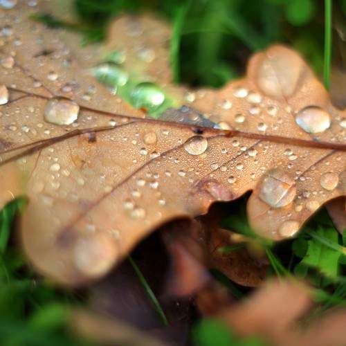 Photo #9682312