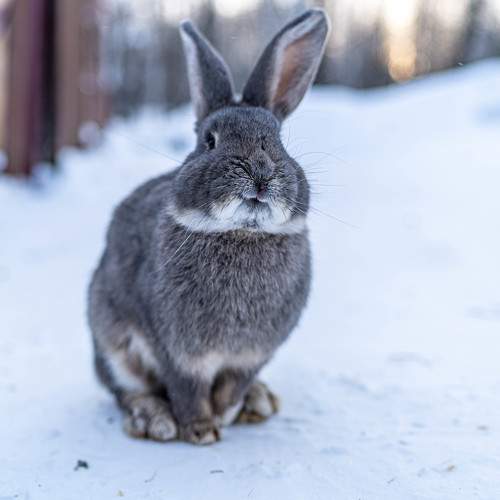 Photo #9682367