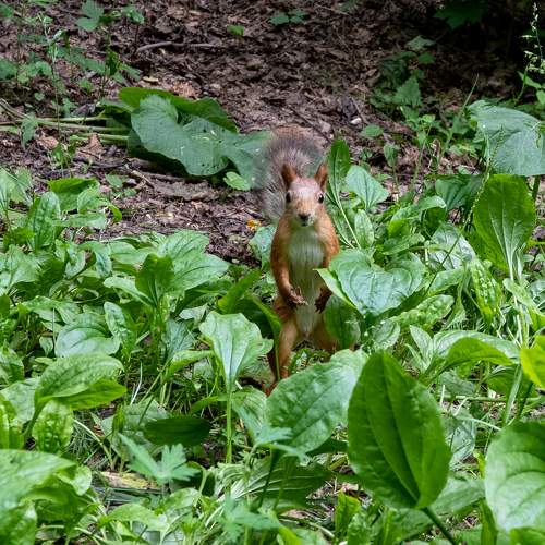 Photo #9682371