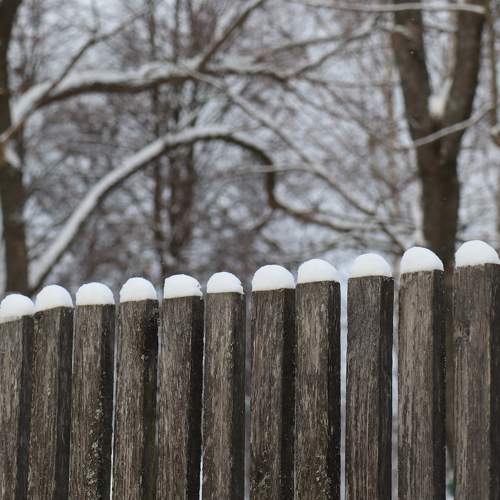Photo #9682437