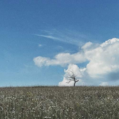 Photo #9682458