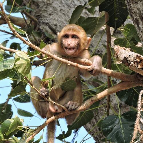 Photo #9682597