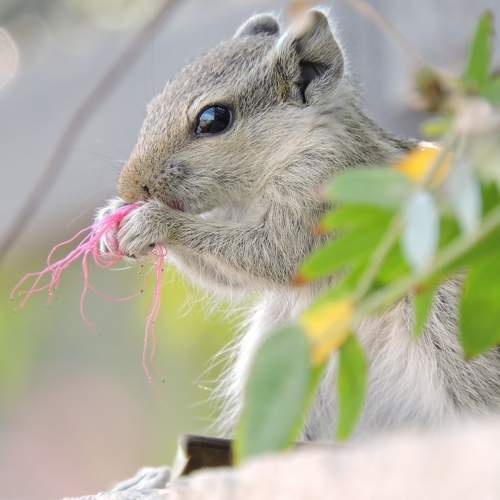 Photo #9682599