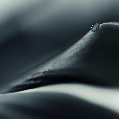 Фотография #9682652