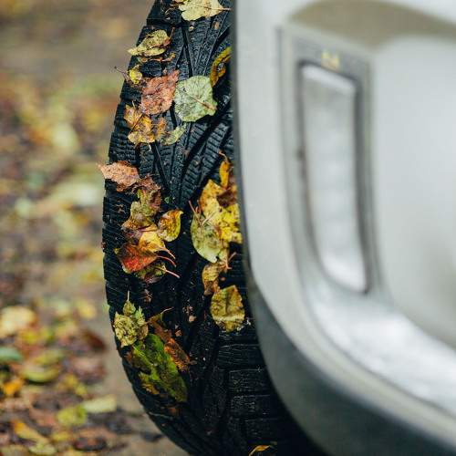 Photo #9682707