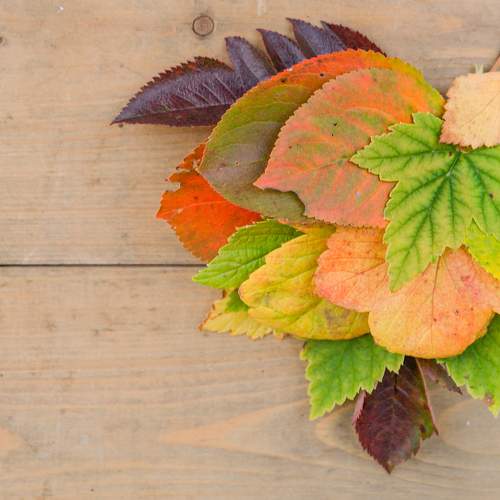 Photo #9682713