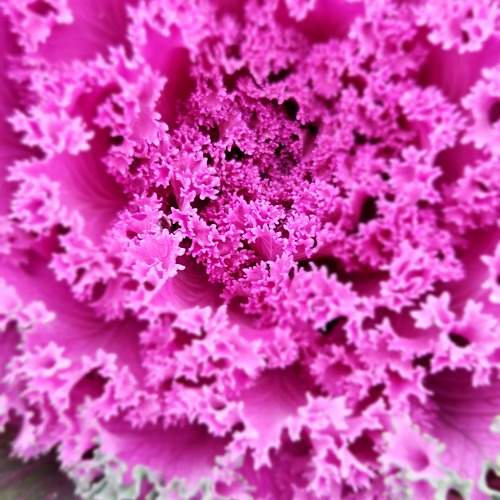 Photo #9682737