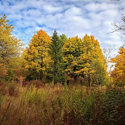 Photo #9683110