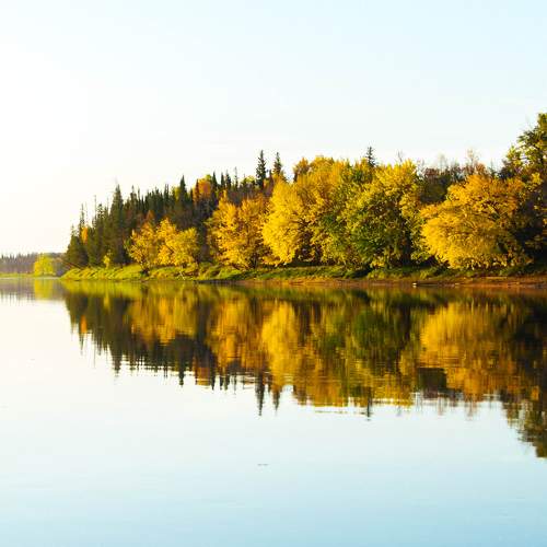 Photo #9683211
