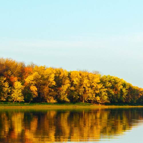 Photo #9683219