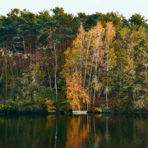 Photo #9683220