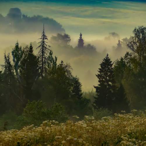 Photo #9683263