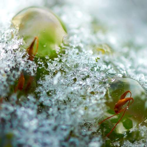 Photo #9683312