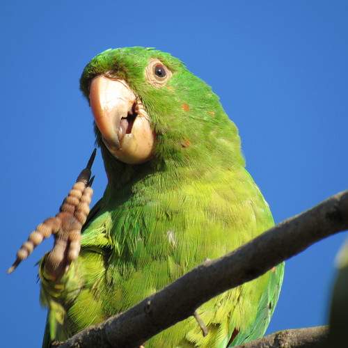 Photo #9683447