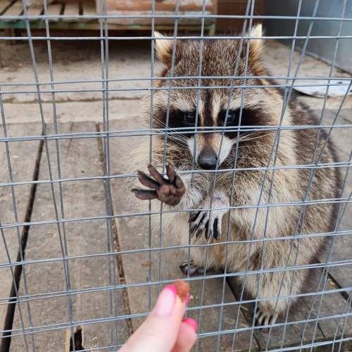 Photo #9683655