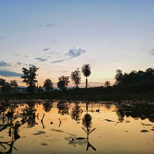Photo #9683680