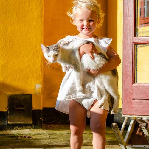 Photo #9683863